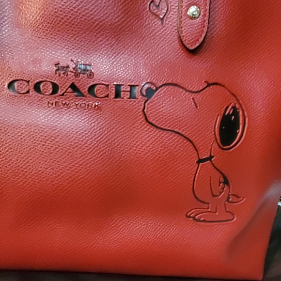 Coach Snoopy - Picture 7 of 8